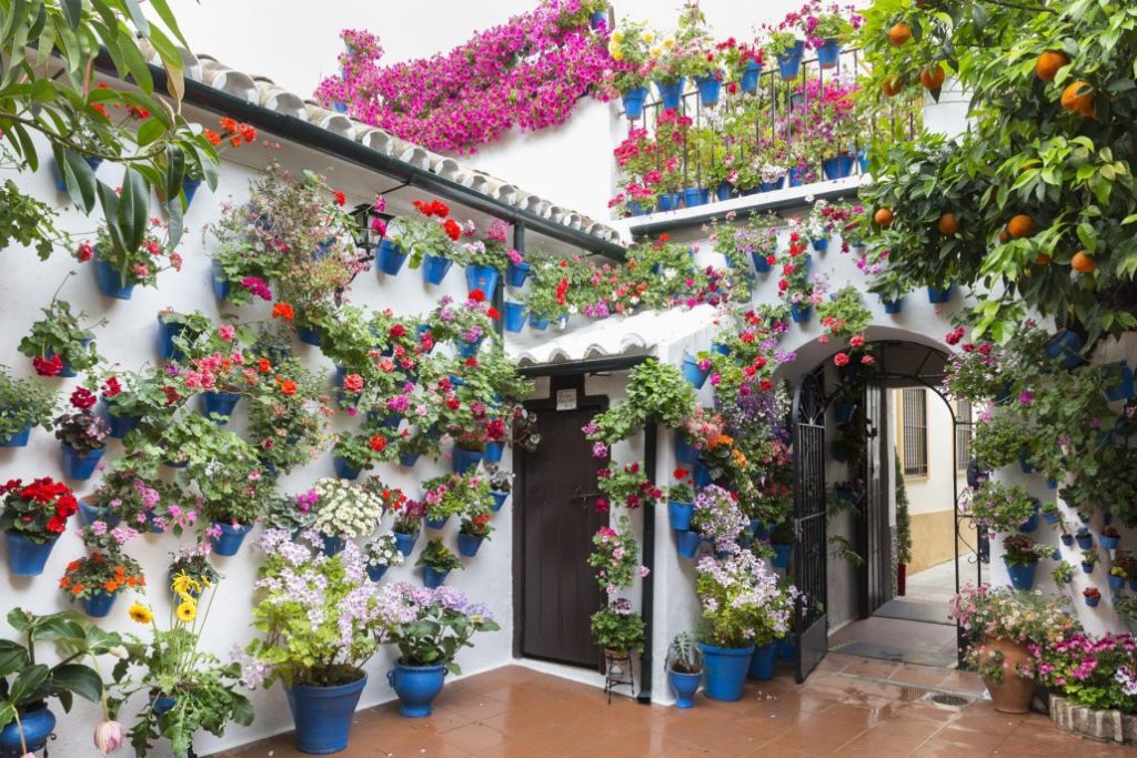 flower Street, Alcazar