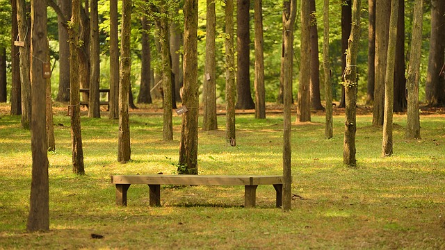 Nami Island