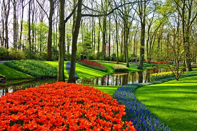 taman bunga keukenhof