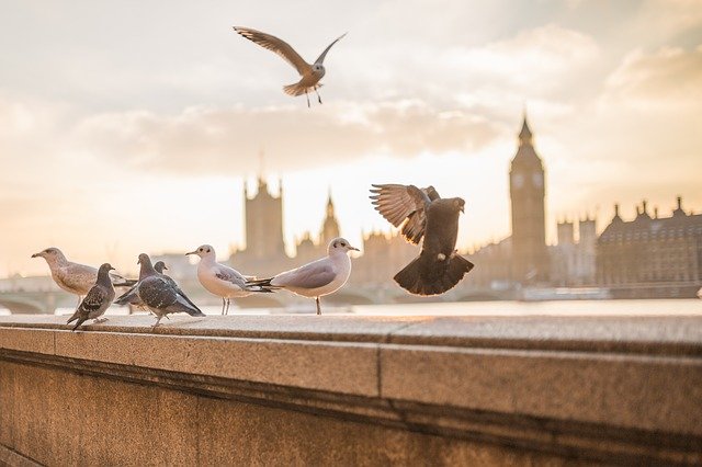 Ingin Berwisata Ke London? Inilah 10 Tempat Yang Wajib Dikunjungi