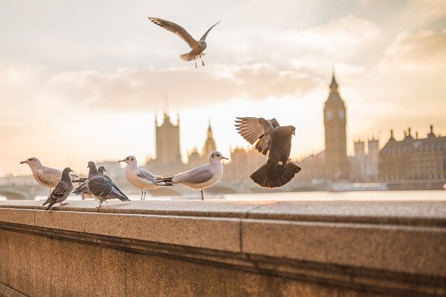 Tempat Wisata Di London Yang Wajib Dikunjungi Saat Berada Di Inggris