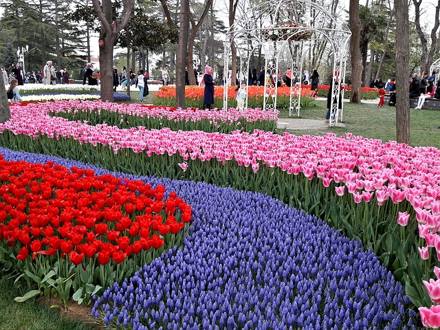 Emirgan tulip garden