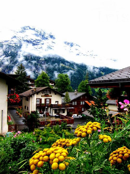 jungfrau1 tempat wisata di swiss