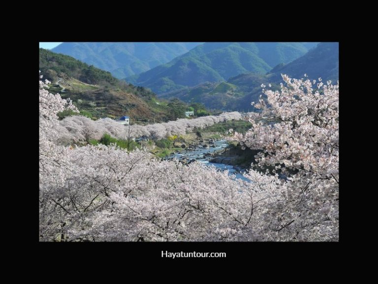 Hal yang Menarik dari Gunung Jirisan Korea Selatan