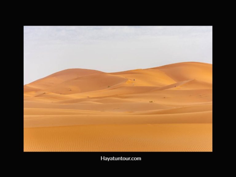 Fakta-Fakta Menarik Terkait dengan Gurun Sahara
