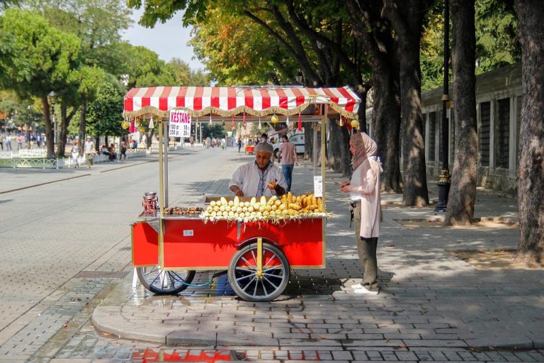 Mengenal Al – Fatih, Sosok Pemimpin dalam Penaklukan Konstantinopel