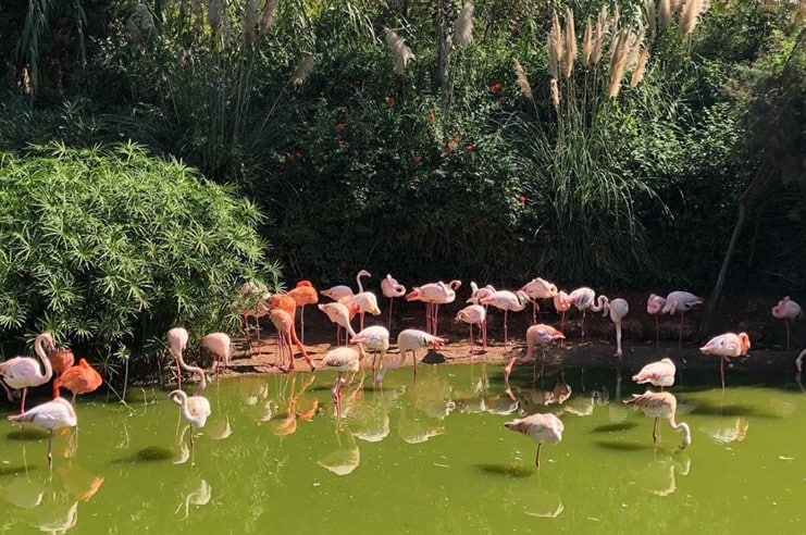 National Zoo Rabat Morocco