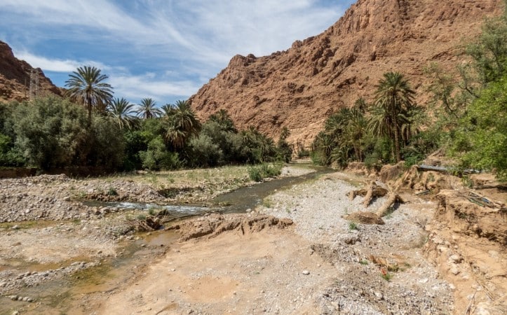 Todra River (Todgha Gorge)