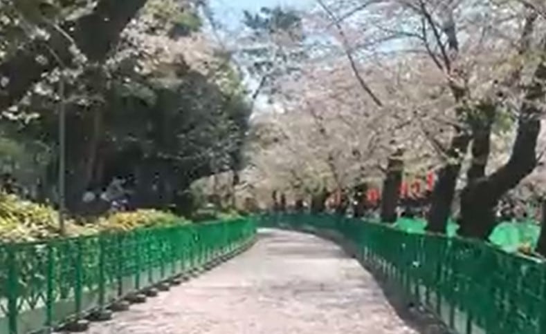 Ueno park