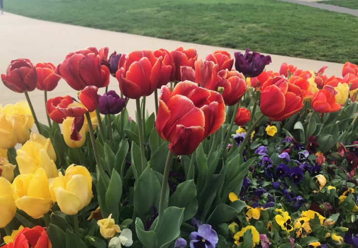 Floriade flower festival