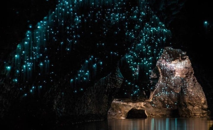 Waitomo Glowworm Caves