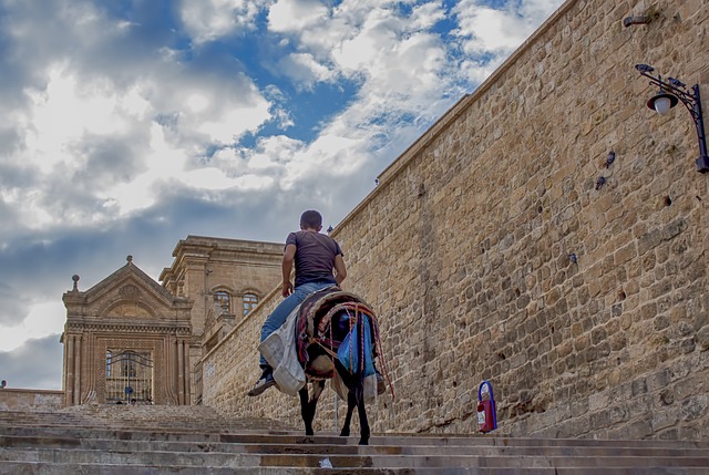 mardin