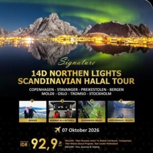 14d northern lights scandinavian halal tour