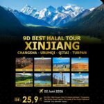 9D BHT Xinjiang